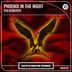 Cover art for "Pulseraiser — Phoenix In The Night (Extended Mix)"