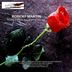 Cover art for "Robert Martin — Rose Petals (Original Vocal)"