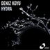 Cover art for "Deniz Koyu — Hydra"