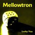 Cover art for "Mellowtron — Lucky You (Schegg Remix)"