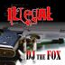 Cover art for "Dj The Fox — Illegal"