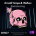 Cover art for "Arnold Tempo, Malkov — Brainstorming (Original mix)"