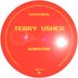 Cover art for "Terry Usher — Sunshine (Original Mix)"