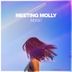 Cover art for "Meeting Molly — Auster (Extended Mix)"