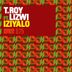 Cover art for "T.Roy — Iziyalo feat. Lizwi (T.Roy & Phil Asher Deep Soweto Mix)"