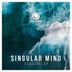 Cover art for "Singular Mind — Illusions"