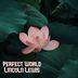 Cover art for "Lincoln Lewis — Perfect World"