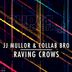 Cover art for "JJ Mullor, Collab Bro — Raving Crows (Original Mix)"