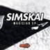 Cover art for "Simskai — Magician"