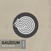 Cover art for "Gaudium — Wake Up (Original Mix)"