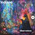 Cover art for "Indiano — Observations"