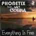 Cover art for "Phonetix — Everything Is Fine feat. MC Cobra"