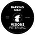 Cover art for "Peter Mac — Visions (Original Mix)"