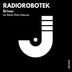 Cover art for "Radiorobotek — Driver (Original Mix)"