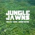 Cover art for "Graves, Hardi, Nimbus Deloud — Jungle Jawns"