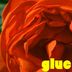 Cover art for Glue