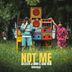 Cover art for Not Me
