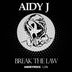 Cover art for "Aidy J — Break the Law (Original Mix)"