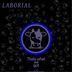 Cover art for "Laborial — Thats What We Got"