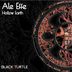 Cover art for "Ale Effe — Hollow Earth"