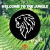 Cover art for "DJ GMR — Welcome to the Jungle (Radio Edit)"