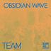 Cover art for "Obsidian Wave — Team (Original Mix)"