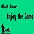 Cover art for "Black Rover — Enjoy the Game"