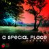 Cover art for "Hayashi — A Special Place"