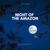 Cover art for Night of the Amazon