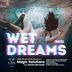 Cover art for "Magic Solutions, Randy Garcia, Ruben Moran — Wet Dreams 2k23 (Radio Edit)"