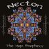 Cover art for "Necton — The Hopi Prophecy (Original Mix)"