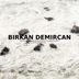 Cover art for "Birkan Demircan — Breakaway"