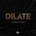 Cover art for "Dj Dilate — Crusher"