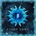 Cover art for Fight Song