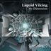 Cover art for "Liquid Viking — Summer Son (Original Mix)"