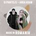 Cover art for "DJ Pantelis, Anda Adam — Made in Romania"