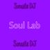 Cover art for Soul Lab
