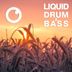 Cover art for Liquid Drum & Bass Sessions #48