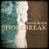Cover art for Shorebreak