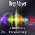 Cover art for "Deep Mayer — Chubbie's Frequency"