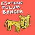 Cover art for ESOTERIC TULUM BANGER