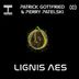 Cover art for Lignis Aes