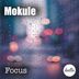 Cover art for "Mokule — Focus"