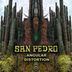 Cover art for "San Pedro — Angular Distortion"