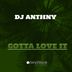 Cover art for "Dj Anthny — Gotta Love It"