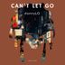 Cover art for "dannyLO — Can't Let Go (Vocal)"