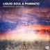 Cover art for "Liquid Soul, Phanatic — Awakening Dreams"