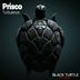 Cover art for "Prisco — Turbulence"