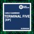 Cover art for "Carlo Gambino — Terminal Five"