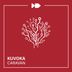 Cover art for "Kuvoka — Caravan (Original Mix)"